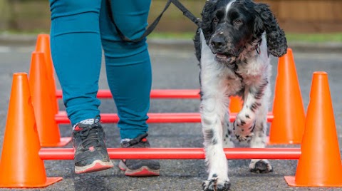 Burnside Animal Rehabilitation Centre