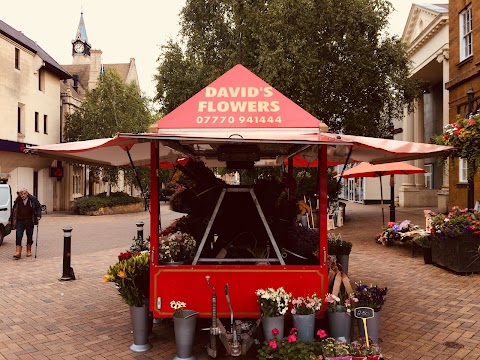 David's Flowers