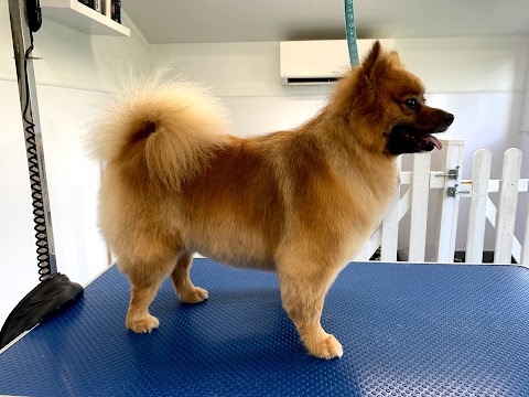 Bloomingtails Dog Grooming Parlour