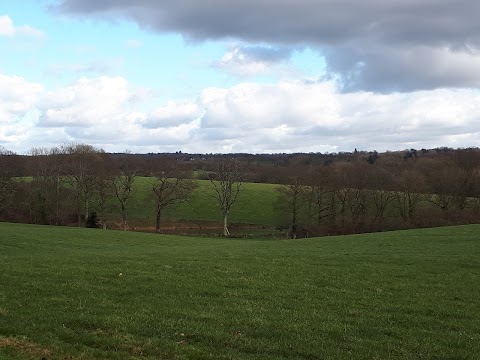 Cinder Hill Equine Clinic