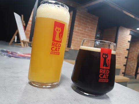 Red Cat beer shop