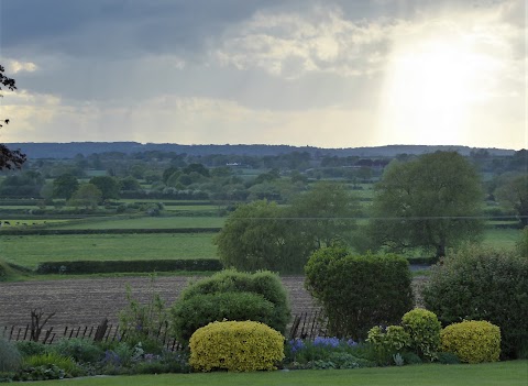 Dog & Hedgehog Inn