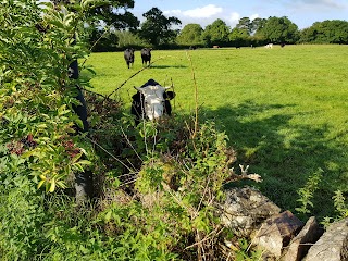 Heathend Garage