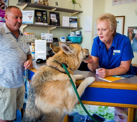 Coastway Vets, Woodingdean