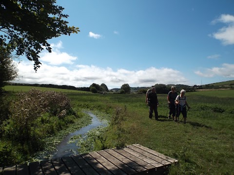 Carisbrooke Water Meadows