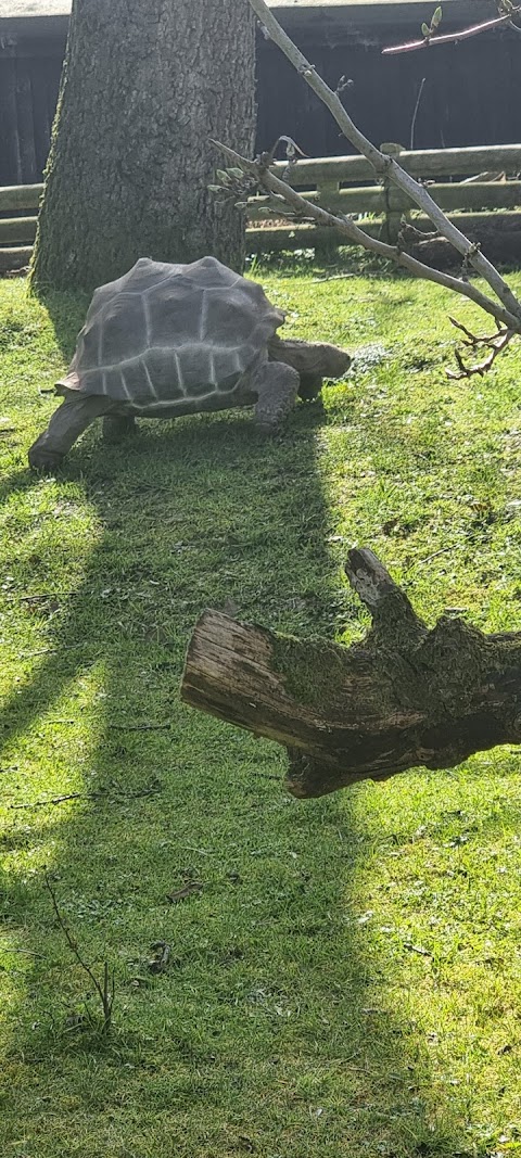 Wildlife Conservation Center Car Park