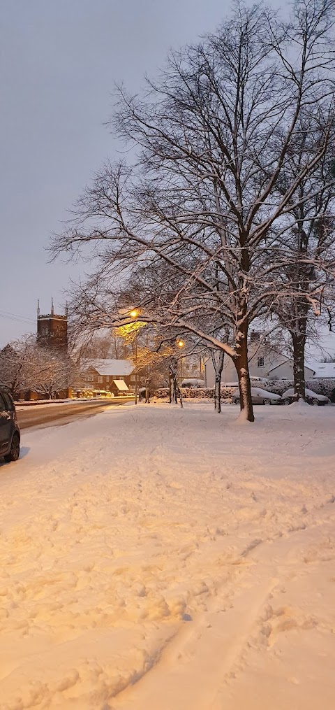 Pelsall Common