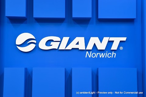 Giant Store Norwich