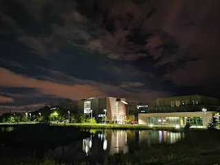 UCD Confucius Institute for Ireland