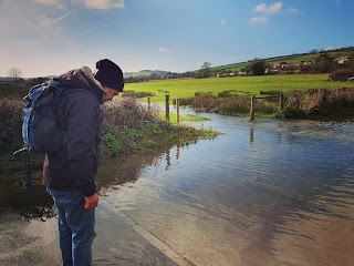 Carisbrooke Water Meadows