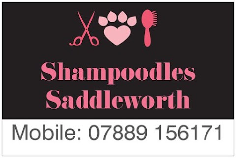 Shampoodles Saddleworth