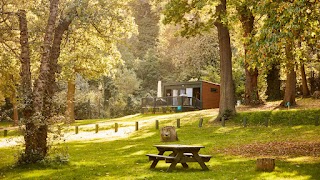 Abbey Wood Caravan and Motorhome Club Campsite