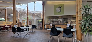 The Botanic Kitchen