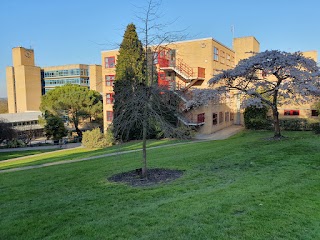 Stag Hill Reception, Surrey University