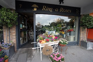 Ring-a-Roses