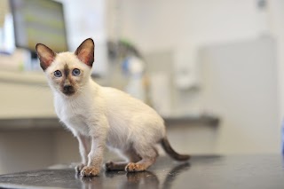 Blackheath Veterinary Centre