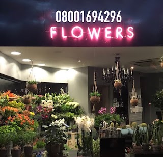 Flower House Direct