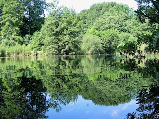 Dragonfly Lake