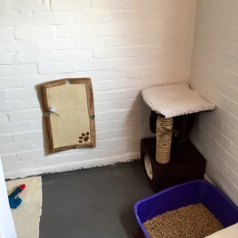 Pet Chalet Cattery