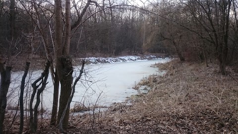 Рудківський дендропарк