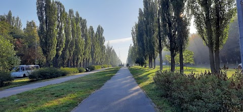 Бульвар Академика Вернадского