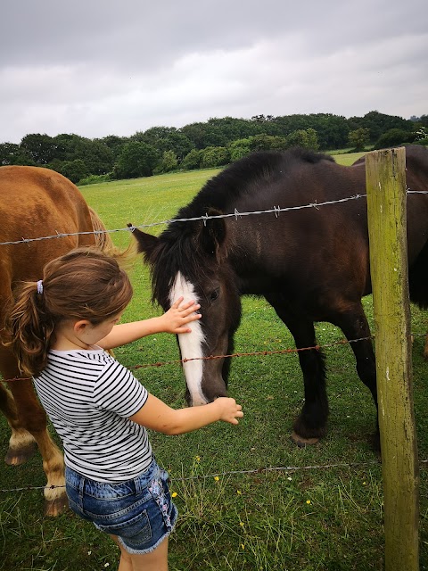 Tanglewood Equestrian Centre