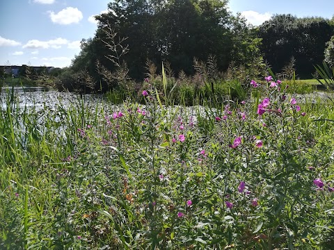 Auchinlea Park