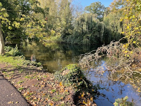 Abbey Meadows