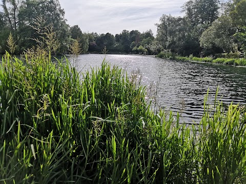 The Boathouse