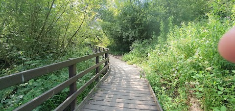 Alyn Waters Country Park