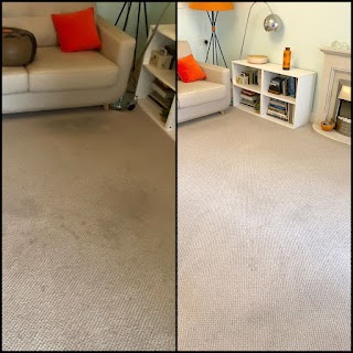 Carpet Cleaning Pros