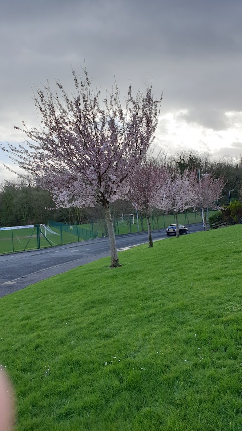 Monkstown Community Centre