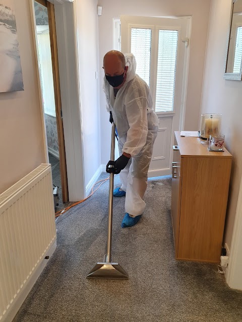 Pardy's carpet cleaning