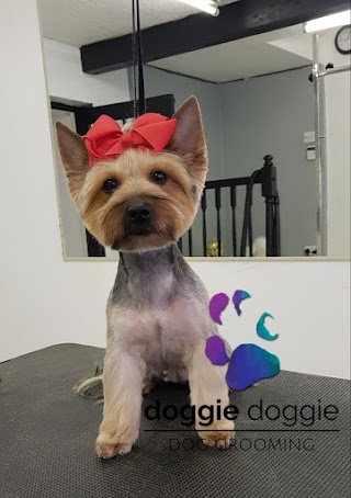 DOGGIE DOGGIE Dog Grooming Salon