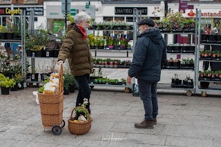 Johns Plants