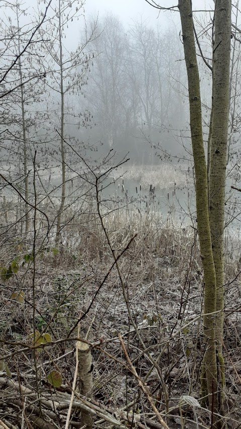 Colliery Nature Park