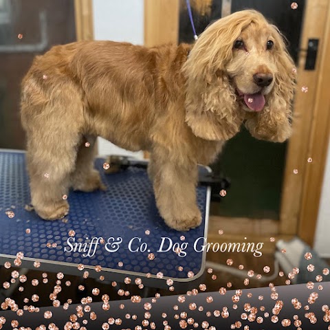 Sniff & Co. The Dog Grooming Vet Nurse