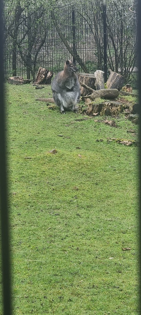 Wildlife Conservation Center Car Park