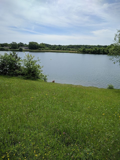 Cosmeston Lakes Country Park & Medieval Village