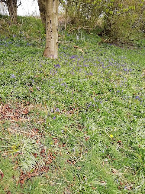 Up Holland Parish Council Play Area