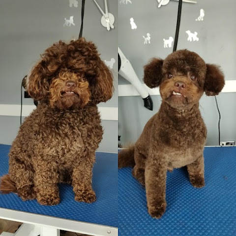 Pawfect Style Grooming Salon