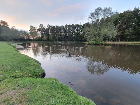 Braidwood Pond