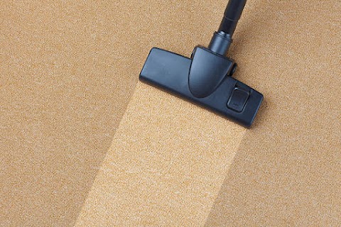 Professional carpet steam clean