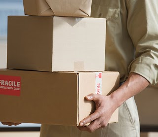 DYNAMIC COURIER LOGISTICS LTD