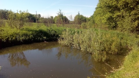 С. Нижній Вербіж