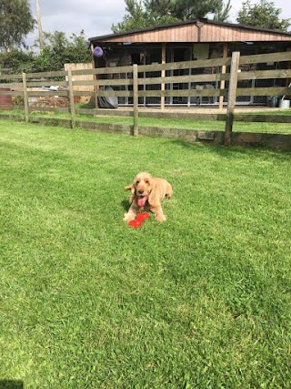 Wharf Cottage Boarding Kennels & Cattery