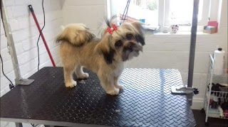 Melanie's Dog Grooming