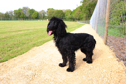 Paw Paddock - Wickham