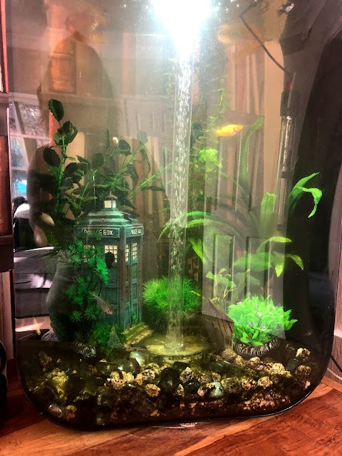 Beacon Pet Aquarium