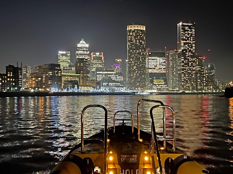 Thames RIB Experience - Tower Pier